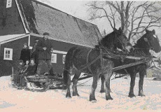 Father and a team of horses often rescued us from a blizzard at school.  No rescue was more welcome!